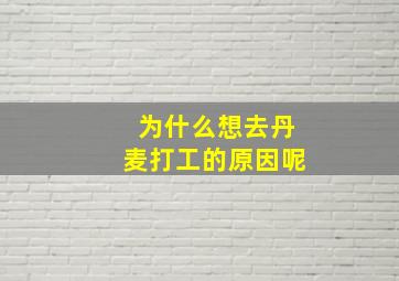 为什么想去丹麦打工的原因呢