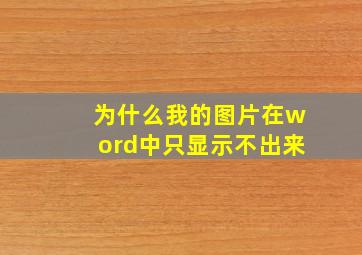 为什么我的图片在word中只显示不出来