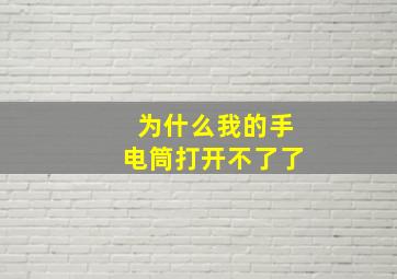 为什么我的手电筒打开不了了