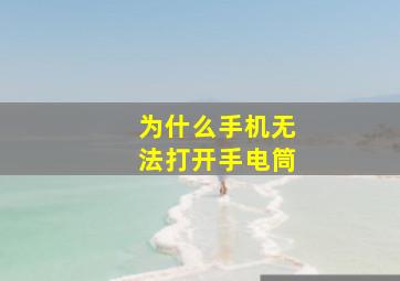 为什么手机无法打开手电筒