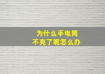 为什么手电筒不亮了呢怎么办