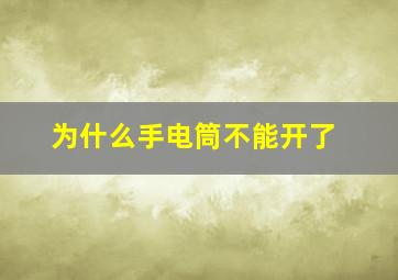 为什么手电筒不能开了