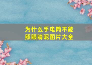 为什么手电筒不能照眼睛呢图片大全