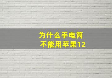 为什么手电筒不能用苹果12