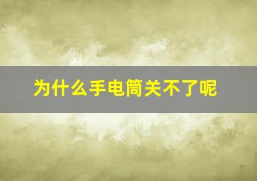 为什么手电筒关不了呢