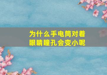 为什么手电筒对着眼睛瞳孔会变小呢