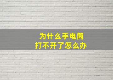 为什么手电筒打不开了怎么办