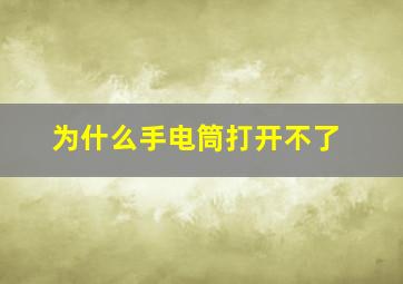 为什么手电筒打开不了