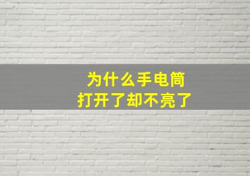 为什么手电筒打开了却不亮了