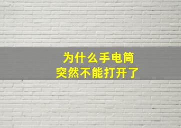 为什么手电筒突然不能打开了