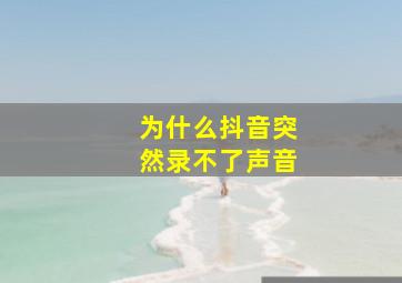 为什么抖音突然录不了声音