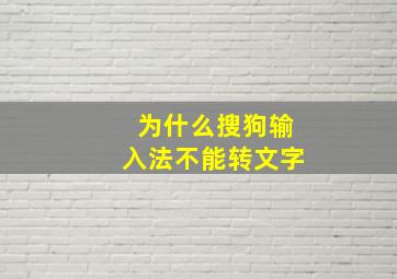 为什么搜狗输入法不能转文字