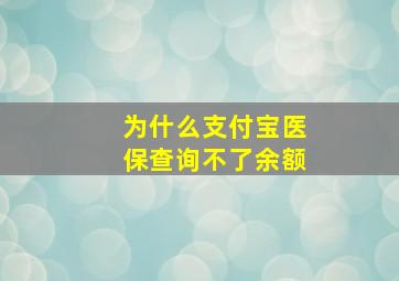 为什么支付宝医保查询不了余额