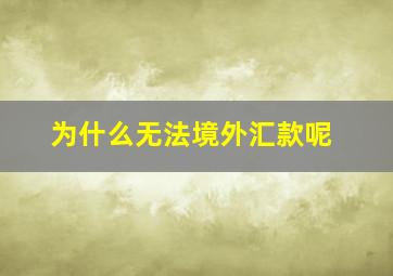 为什么无法境外汇款呢