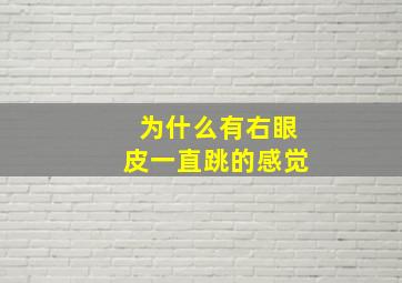 为什么有右眼皮一直跳的感觉