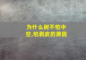 为什么树不怕中空,怕剥皮的原因