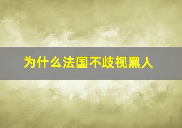 为什么法国不歧视黑人