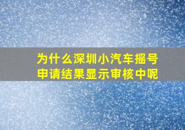 为什么深圳小汽车摇号申请结果显示审核中呢