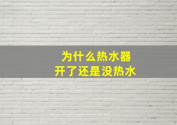 为什么热水器开了还是没热水