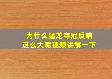 为什么猛龙夺冠反响这么大呢视频讲解一下