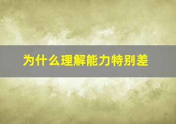 为什么理解能力特别差