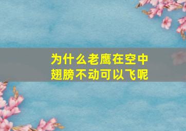 为什么老鹰在空中翅膀不动可以飞呢