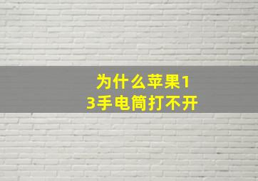 为什么苹果13手电筒打不开