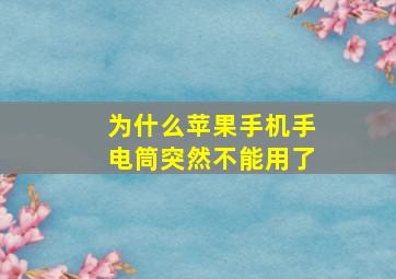 为什么苹果手机手电筒突然不能用了