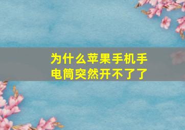 为什么苹果手机手电筒突然开不了了