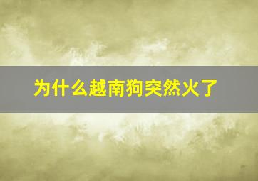 为什么越南狗突然火了