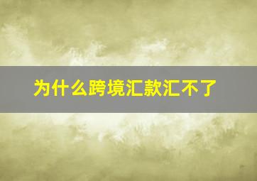 为什么跨境汇款汇不了