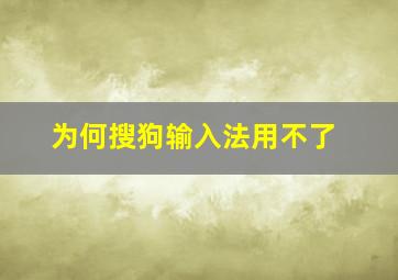 为何搜狗输入法用不了