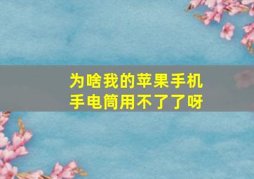 为啥我的苹果手机手电筒用不了了呀