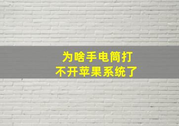 为啥手电筒打不开苹果系统了