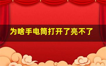 为啥手电筒打开了亮不了