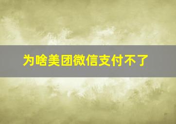 为啥美团微信支付不了