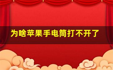 为啥苹果手电筒打不开了