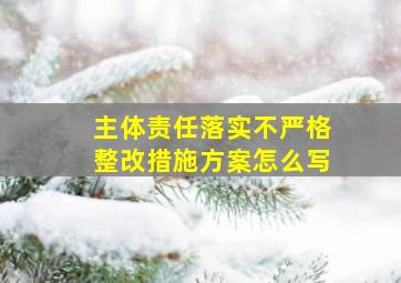 主体责任落实不严格整改措施方案怎么写