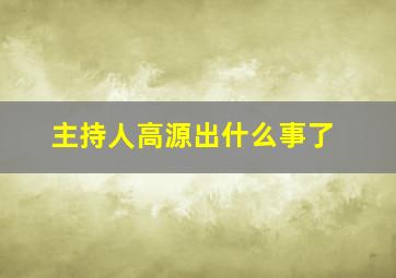 主持人高源出什么事了