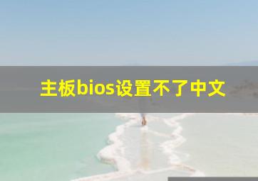 主板bios设置不了中文