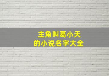 主角叫葛小天的小说名字大全