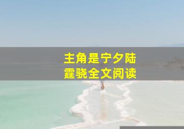 主角是宁夕陆霆骁全文阅读