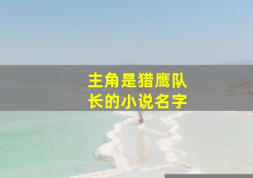 主角是猎鹰队长的小说名字