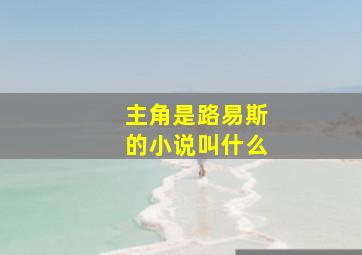 主角是路易斯的小说叫什么