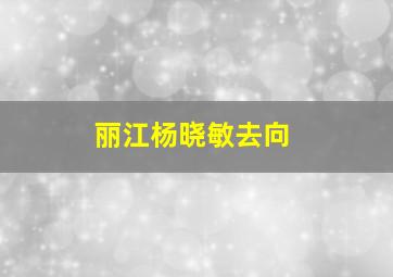 丽江杨晓敏去向