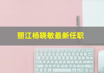 丽江杨晓敏最新任职