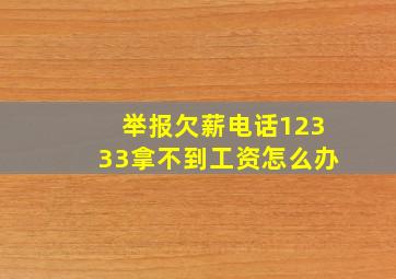 举报欠薪电话12333拿不到工资怎么办