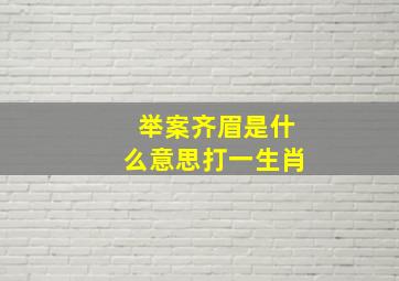 举案齐眉是什么意思打一生肖