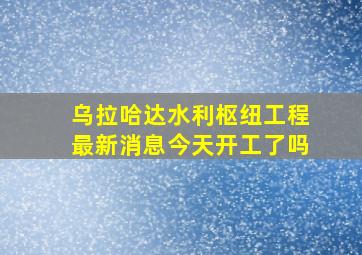 乌拉哈达水利枢纽工程最新消息今天开工了吗