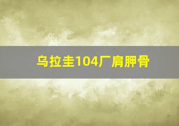 乌拉圭104厂肩胛骨